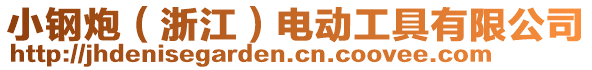 小鋼炮（浙江）電動工具有限公司