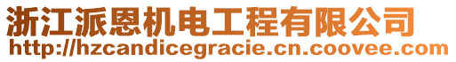 浙江派恩機(jī)電工程有限公司