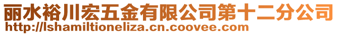 麗水裕川宏五金有限公司第十二分公司