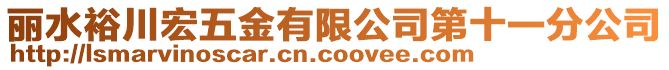 麗水裕川宏五金有限公司第十一分公司