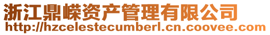 浙江鼎嶸資產管理有限公司
