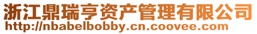 浙江鼎瑞亨資產(chǎn)管理有限公司