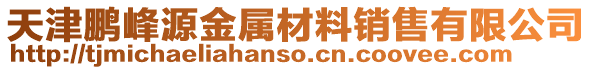 天津鵬峰源金屬材料銷售有限公司