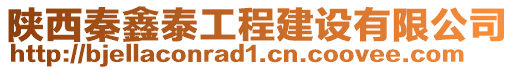 陜西秦鑫泰工程建設有限公司