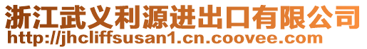 浙江武義利源進(jìn)出口有限公司