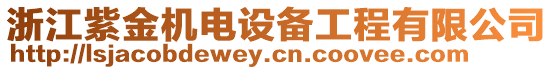 浙江紫金機電設備工程有限公司