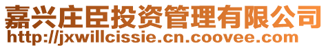 嘉興莊臣投資管理有限公司