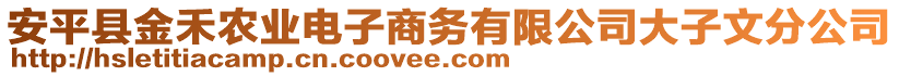 安平縣金禾農(nóng)業(yè)電子商務有限公司大子文分公司