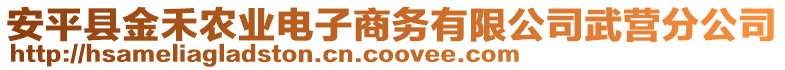 安平縣金禾農(nóng)業(yè)電子商務(wù)有限公司武營(yíng)分公司