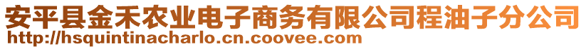 安平縣金禾農(nóng)業(yè)電子商務(wù)有限公司程油子分公司