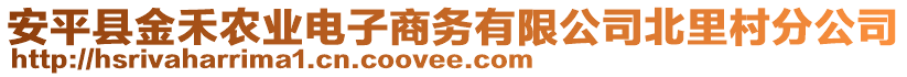 安平縣金禾農(nóng)業(yè)電子商務(wù)有限公司北里村分公司