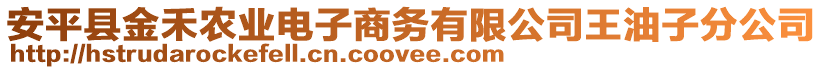 安平縣金禾農業(yè)電子商務有限公司王油子分公司