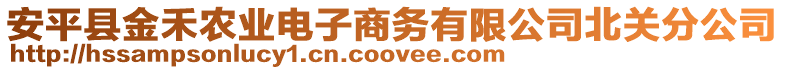 安平縣金禾農(nóng)業(yè)電子商務(wù)有限公司北關(guān)分公司