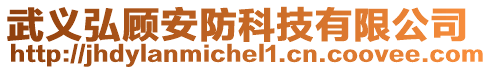 武義弘顧安防科技有限公司