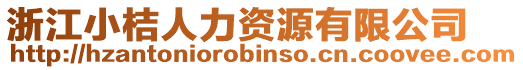 浙江小桔人力資源有限公司