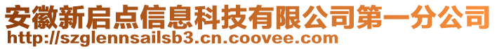 安徽新啟點信息科技有限公司第一分公司