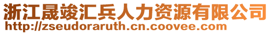 浙江晟竣匯兵人力資源有限公司