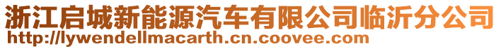 浙江啟城新能源汽車有限公司臨沂分公司