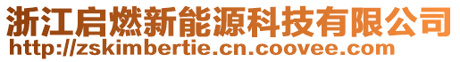 浙江啟燃新能源科技有限公司