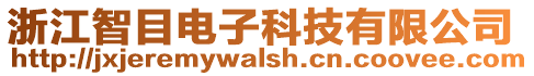 浙江智目電子科技有限公司