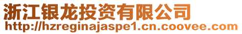 浙江銀龍投資有限公司
