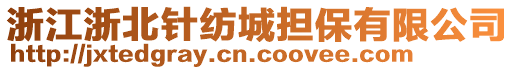 浙江浙北針紡城擔保有限公司