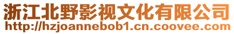 浙江北野影視文化有限公司