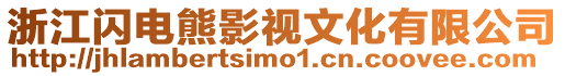 浙江閃電熊影視文化有限公司