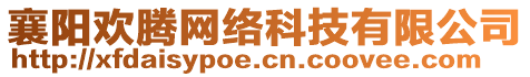 襄陽歡騰網(wǎng)絡(luò)科技有限公司