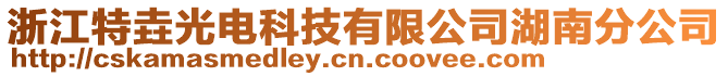 浙江特垚光電科技有限公司湖南分公司