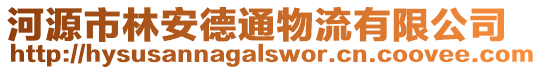 河源市林安德通物流有限公司