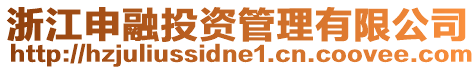 浙江申融投資管理有限公司