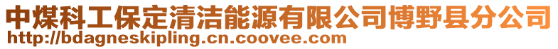 中煤科工保定清潔能源有限公司博野縣分公司