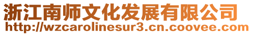 浙江南師文化發(fā)展有限公司