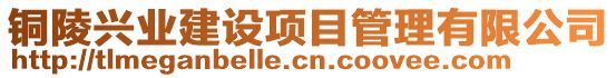 銅陵興業(yè)建設(shè)項(xiàng)目管理有限公司