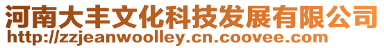 河南大豐文化科技發(fā)展有限公司