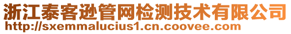 浙江泰客遜管網(wǎng)檢測(cè)技術(shù)有限公司