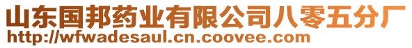 山東國(guó)邦藥業(yè)有限公司八零五分廠