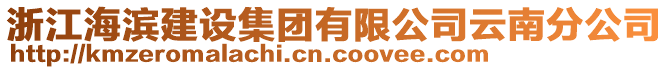 浙江海濱建設集團有限公司云南分公司