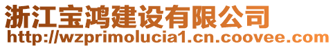 浙江寶鴻建設(shè)有限公司