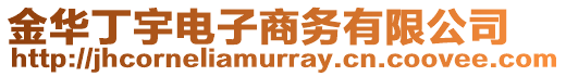 金華丁宇電子商務有限公司