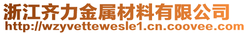 浙江齊力金屬材料有限公司