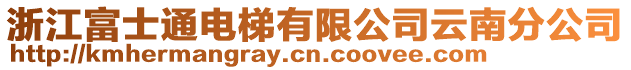 浙江富士通電梯有限公司云南分公司