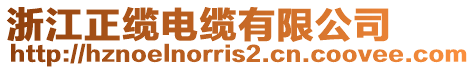 浙江正纜電纜有限公司