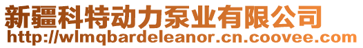 新疆科特動力泵業(yè)有限公司