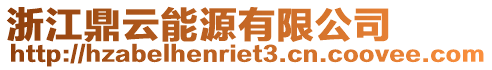 浙江鼎云能源有限公司