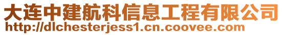 大連中建航科信息工程有限公司