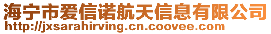 海寧市愛信諾航天信息有限公司