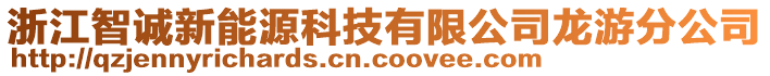 浙江智誠新能源科技有限公司龍游分公司