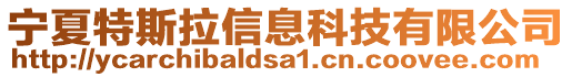寧夏特斯拉信息科技有限公司